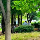 운남그린 이미지