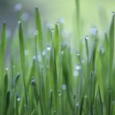 다정 행정사사무소 이미지