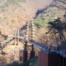 정원행정사 사무소 이미지