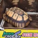 파일럿공인중개사사무소 이미지