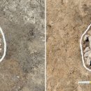 우물청과 이미지