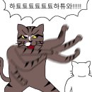 마츠키