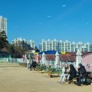주말에 뛰뛰하러 가기 최고 부산근교 양산 반려견운동장 🐶 펫토피아 petopia