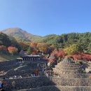 삼성궁주차장 이미지