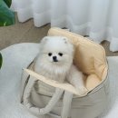 프롬위니 이미지