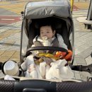 아이트리윅스(주) | 41주차⎮드디어 시작된 9개월 지옥의 원더윅스