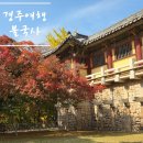 장모님순두부 | 경주 불국사 어르신 휠체어 여행 단풍 구경 동궁과 월지 송정원 순두부 후기