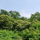 이재홍내과의원 이미지