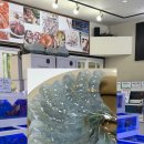 제주 생새우 맛집 아라동 해산물 회 포장 아라수산｜samhwasusan_seafood