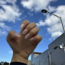 이에스네일(ES NAIL) | [상품] 이에스몰 자석 원컬러 맞춤 수제네일팁 ♥