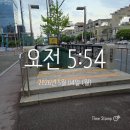 새벽집주 | [3-1/11-15주차] 30대로 간호학과에서 살아남기(+실습) (05.04-06.07)