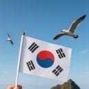 2026년 3월1일 태극기산행 이미지
