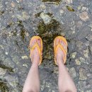 퇴촌나폴리 이미지