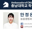 대전대문중학교 이미지