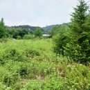 춘원농장 이미지