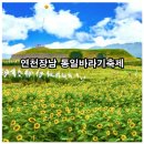 연천 장남 통일바라기축제 이미지