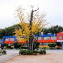 장기초교 이미지