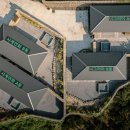 사계연화 이미지