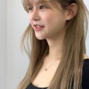 뉴서울미용실 이미지