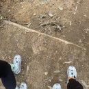 드래곤2 이미지