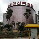 한국인삼 이미지