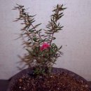 양재시장 이미지