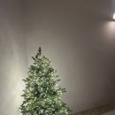 타이드엔드 이미지