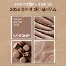 하성글로벌 이미지