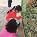 아이들세상유치원 이미지