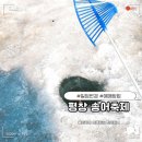 중부-현장-중부-3562 | 강원도 평창 송어축제 일정변경! 기본정보와 예매방법, 놀거리 꼭 알고가세요~