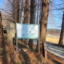 삼백로 | 풍사니랑 안성카페추천 풍산개와 메타세쿼이아 길이 있는 힐링 후기