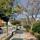 (여수 이야기) 겨울 초입에 미평 저수지 및 봉화산산림욕장, 동지팥죽