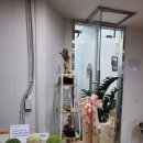 머슬팜짐 - 양천구 신월로 376 | 머슬팜짐