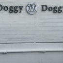 도기캠프 이미지