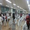 해동태권도 이미지