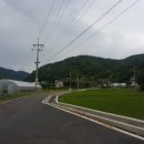 읍내5리 마을회관 이미지