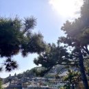 해동불교 | [여행/부산]부산 가볼만한 곳 기장 해동용궁사 방문 후기