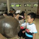 돌석도예박물관 이미지