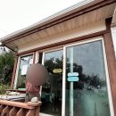 [태안숙소/곰섬파라다이스] 가성비 숙소 추천 힐링 숙소 (+내돈내산)