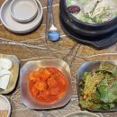 진월 | 광주 삼계탕 맛집 서울깍두기 진월점 후기