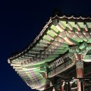 형산강 빗물펌프장 공중화장실 | 팔각정] 딱 10분만 올라가면 펼쳐지는 백만불짜리 뷰. 야간 스냅 촬영 후기!(feat.주차 꿀팁, 최단 코스)