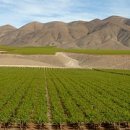 신진 행정사 사무소 이미지