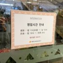 12/6 크리스마스 생화 트리 이미지