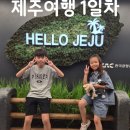 르메종제주