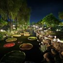 금곡동-6 이미지