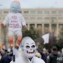 인형의 거리(쥐) 이미지