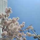 장통밥상 이미지