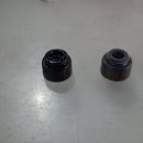 멘토카프로 이미지