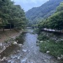 자연(애)장수