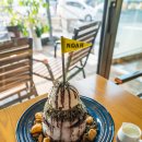 명지파출소 이미지